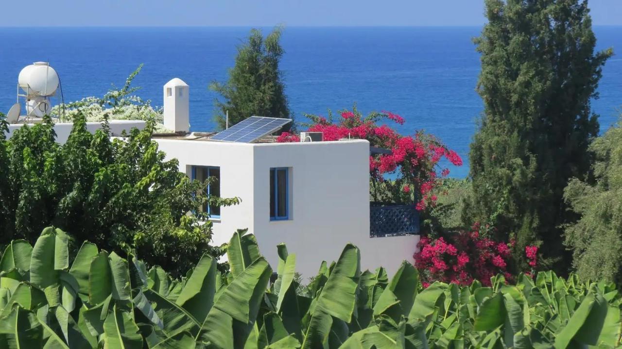 Banana Sunset Villas Пафос Екстер'єр фото