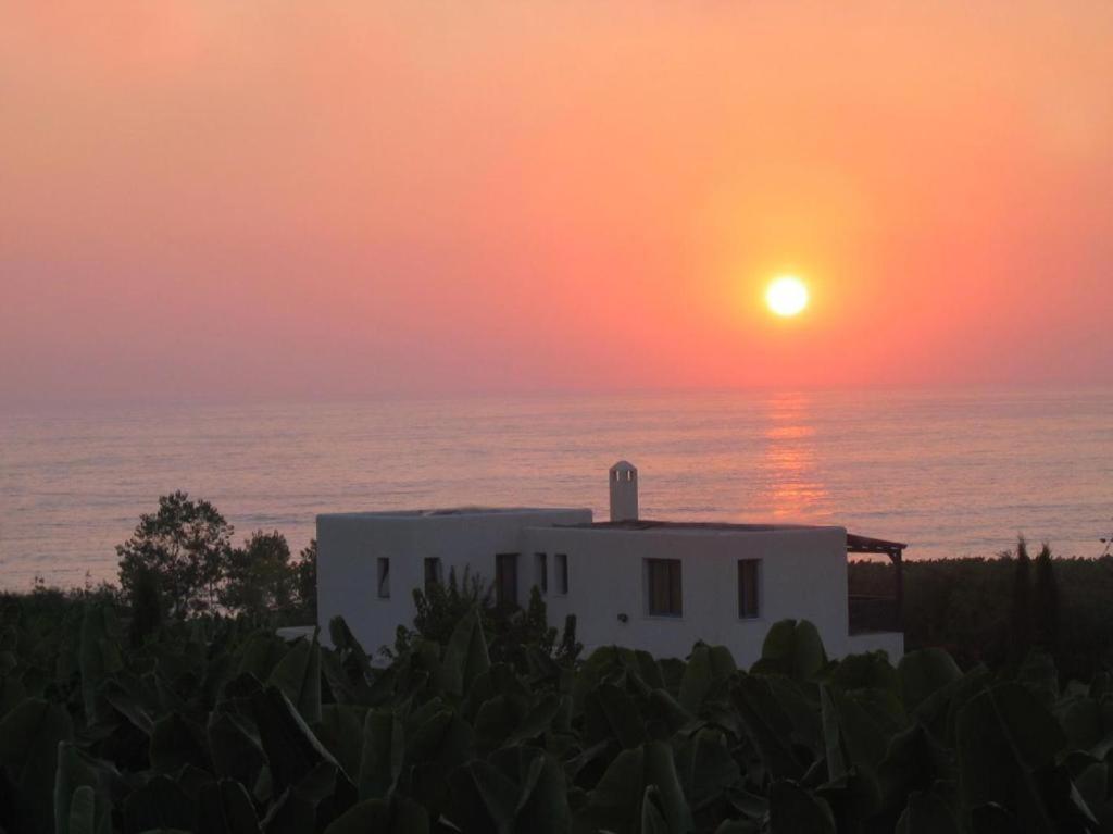 Banana Sunset Villas Пафос Екстер'єр фото